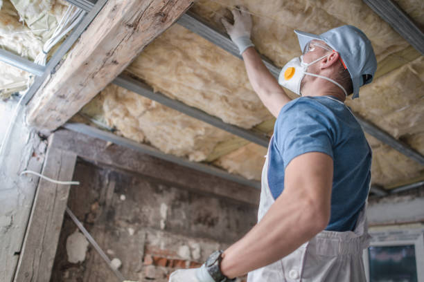 Best Insulation Replacement Services  in East Ithaca, NY