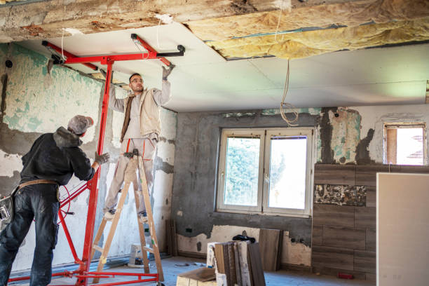 Best Insulation Contractors for Homes  in East Ithaca, NY