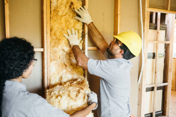 Best Insulation Inspection Services  in East Ithaca, NY
