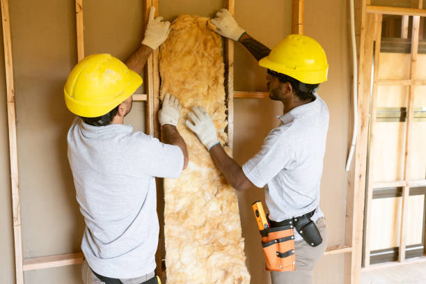 Best Wall Insulation Contractor  in East Ithaca, NY