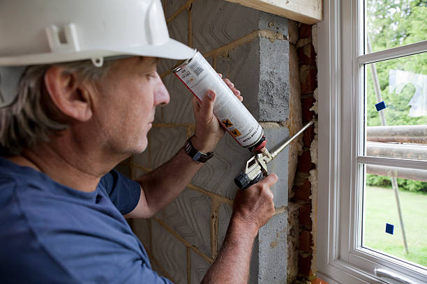 Best Local Insulation Services  in East Ithaca, NY