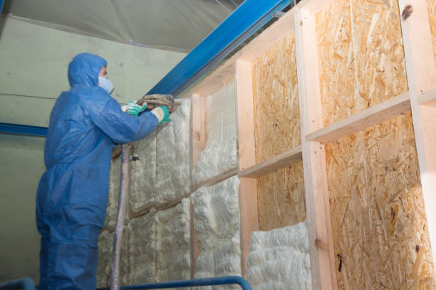 Best Attic Insulation Installation  in East Ithaca, NY