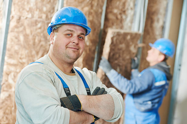Best Attic Insulation Installation  in East Ithaca, NY