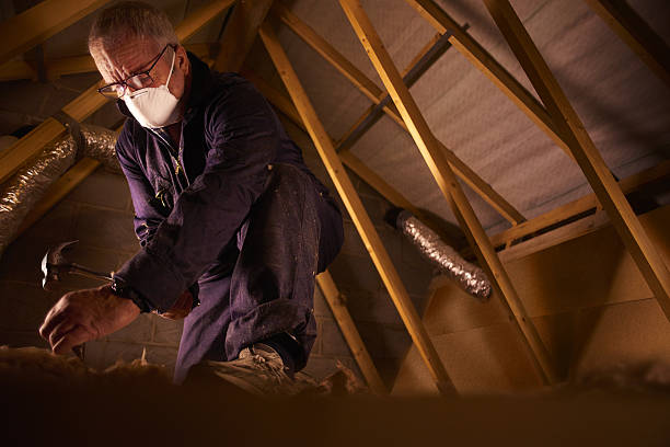 Best Insulation Repair Services  in East Ithaca, NY